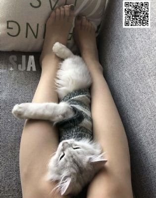 飞极速在线手机版_蓝光完整在线观看