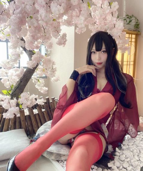 魁拔5_BD日本电影免费